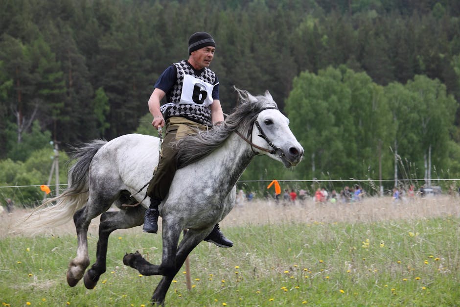 Horse racing competition